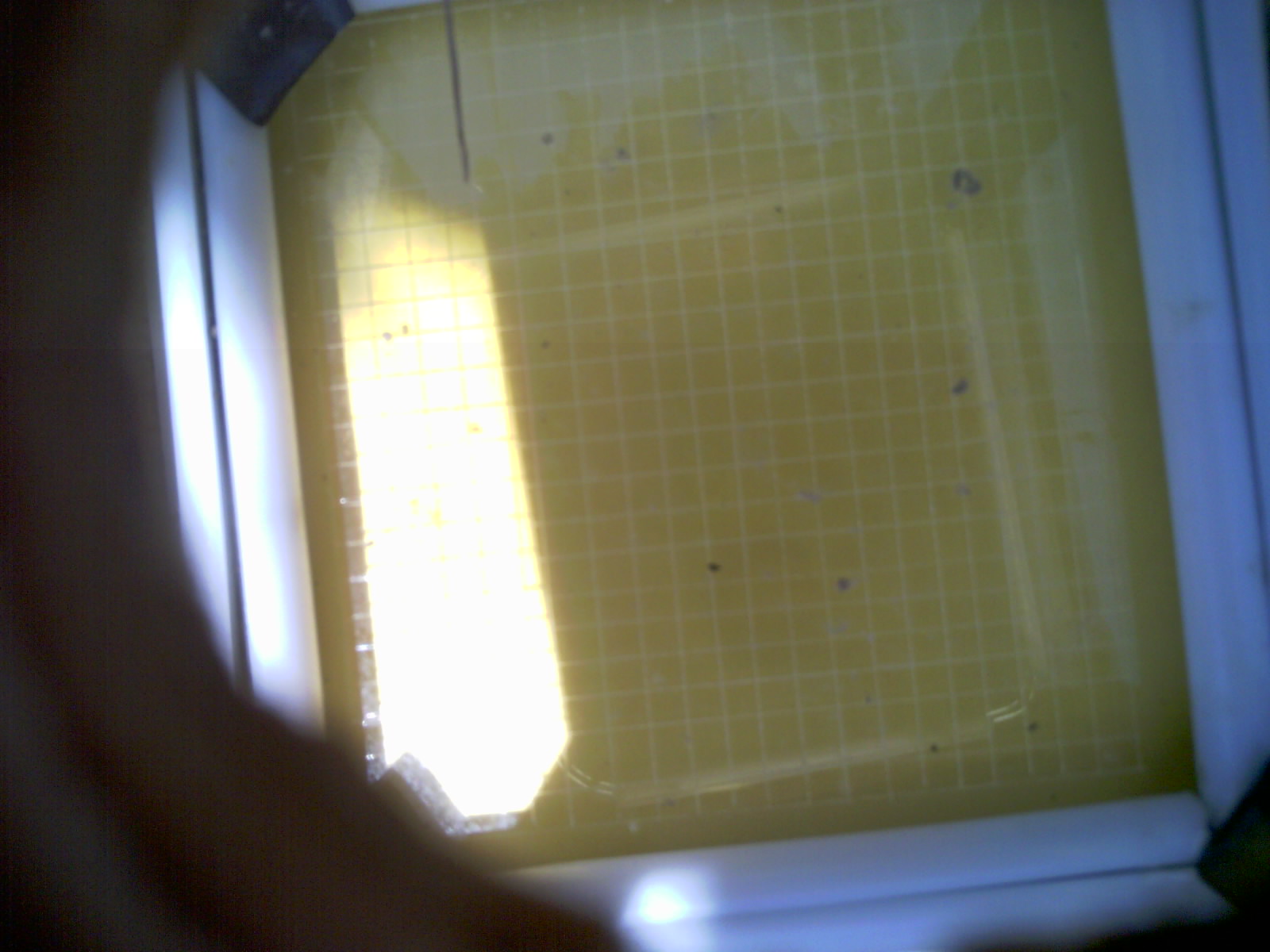 20260710_140533_UXGA_Q3.jpg
