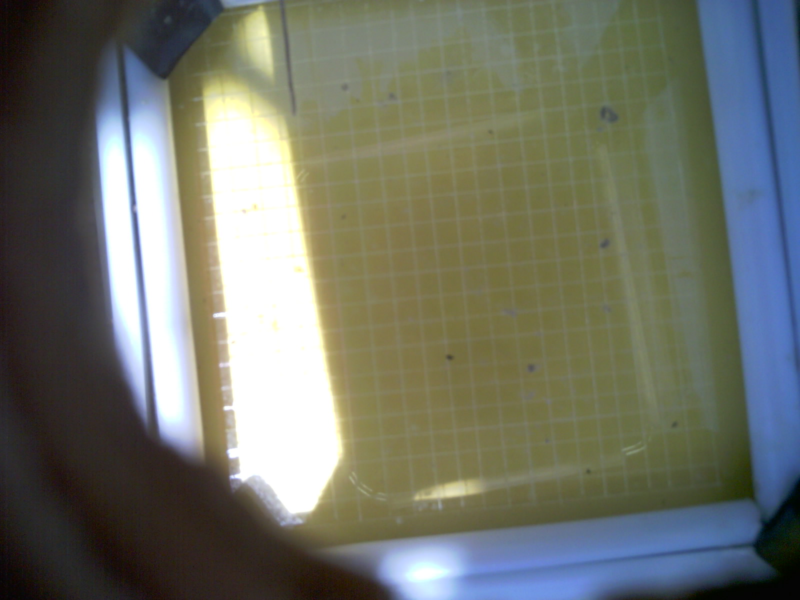 20260710_141211_UXGA_Q3.jpg