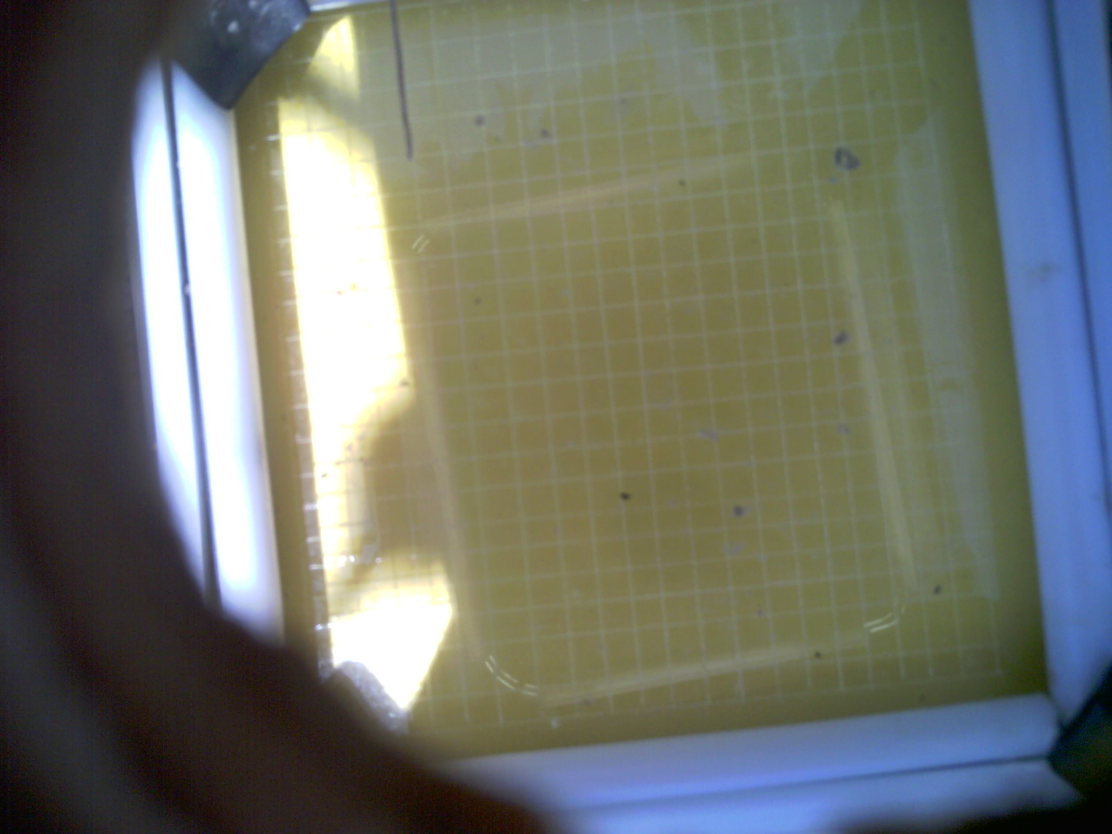 20260710_141841_UXGA_Q3.jpg