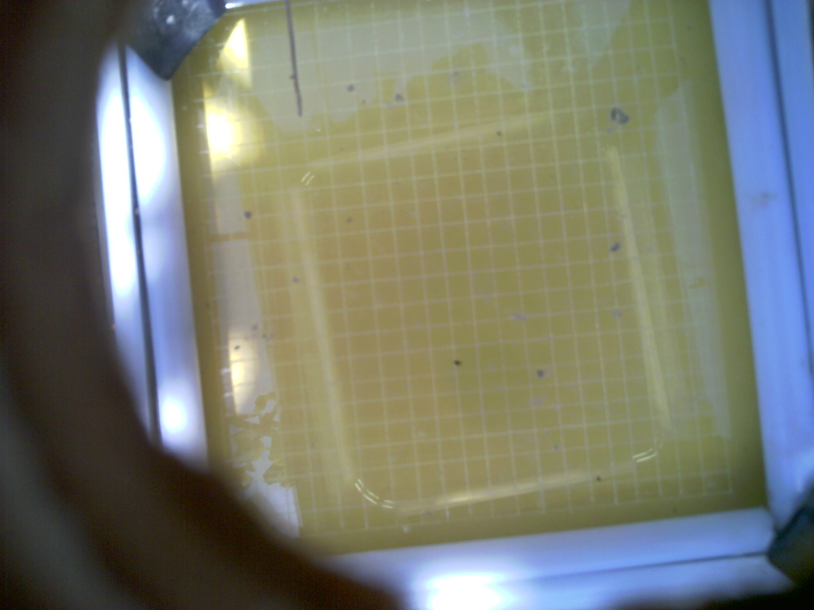 20260710_142455_UXGA_Q3.jpg
