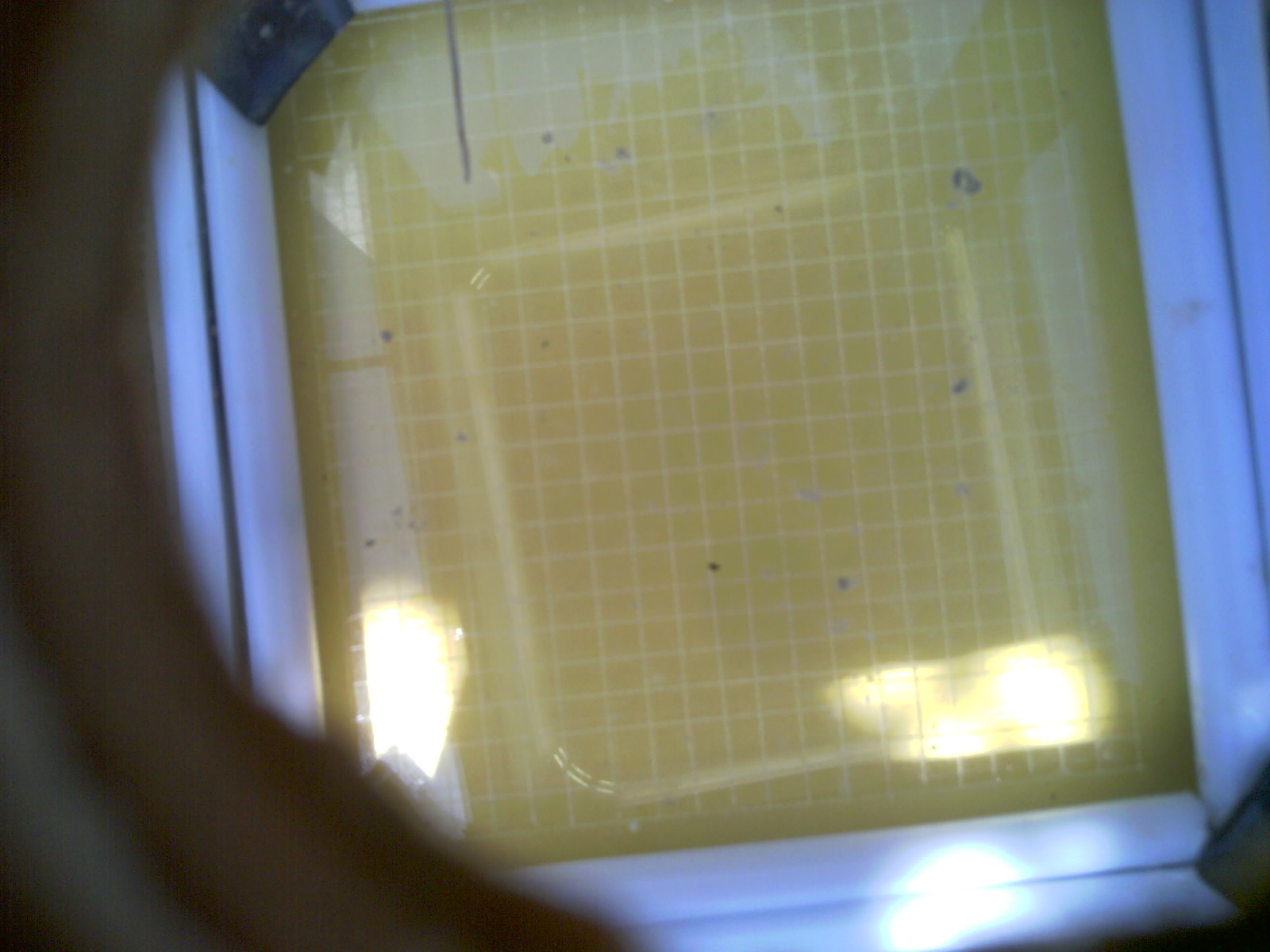 20260710_143130_UXGA_Q3.jpg