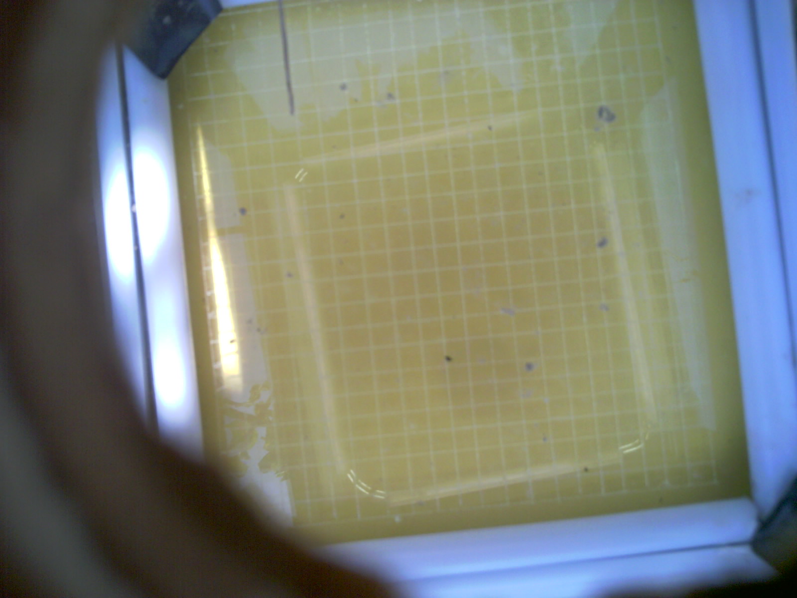 20260710_145020_UXGA_Q3.jpg