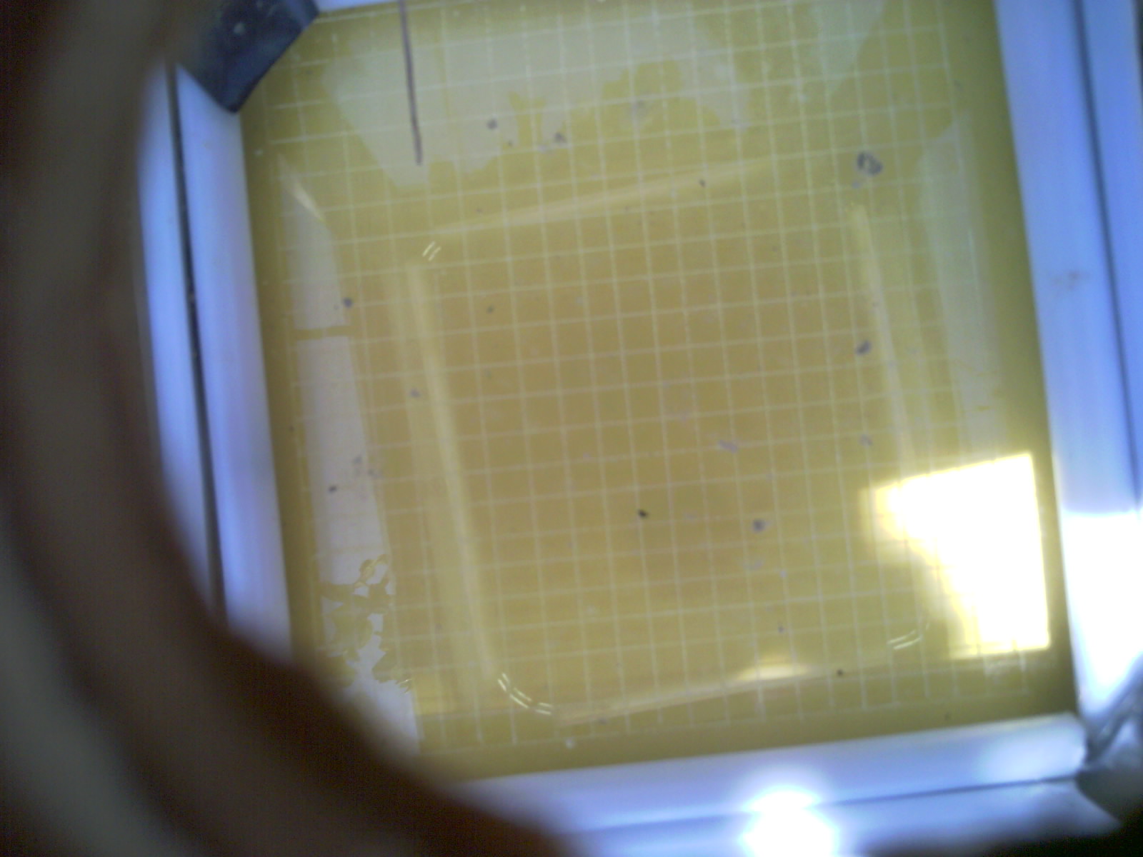 20260710_150836_UXGA_Q3.jpg