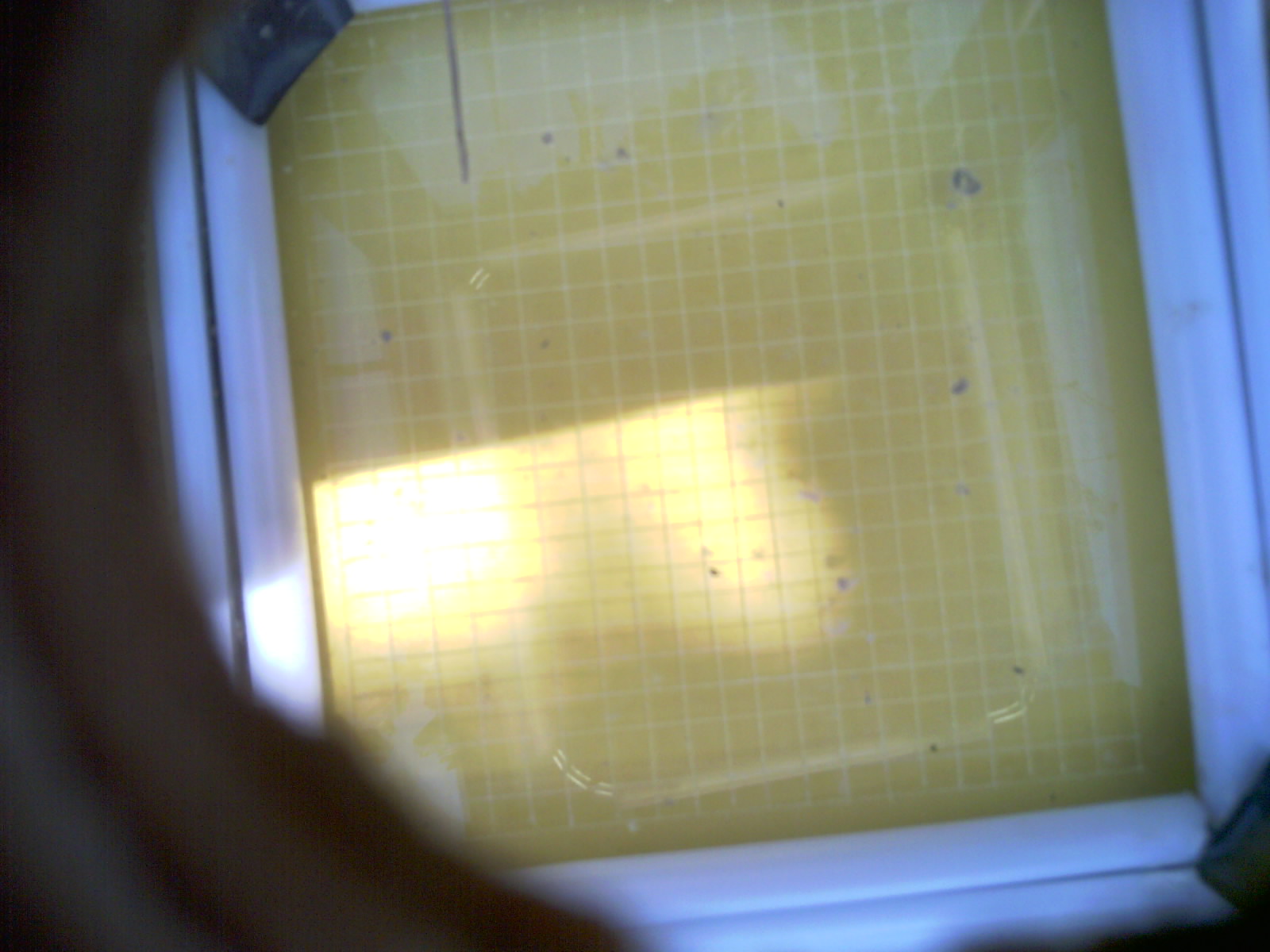 20260710_161528_UXGA_Q3.jpg