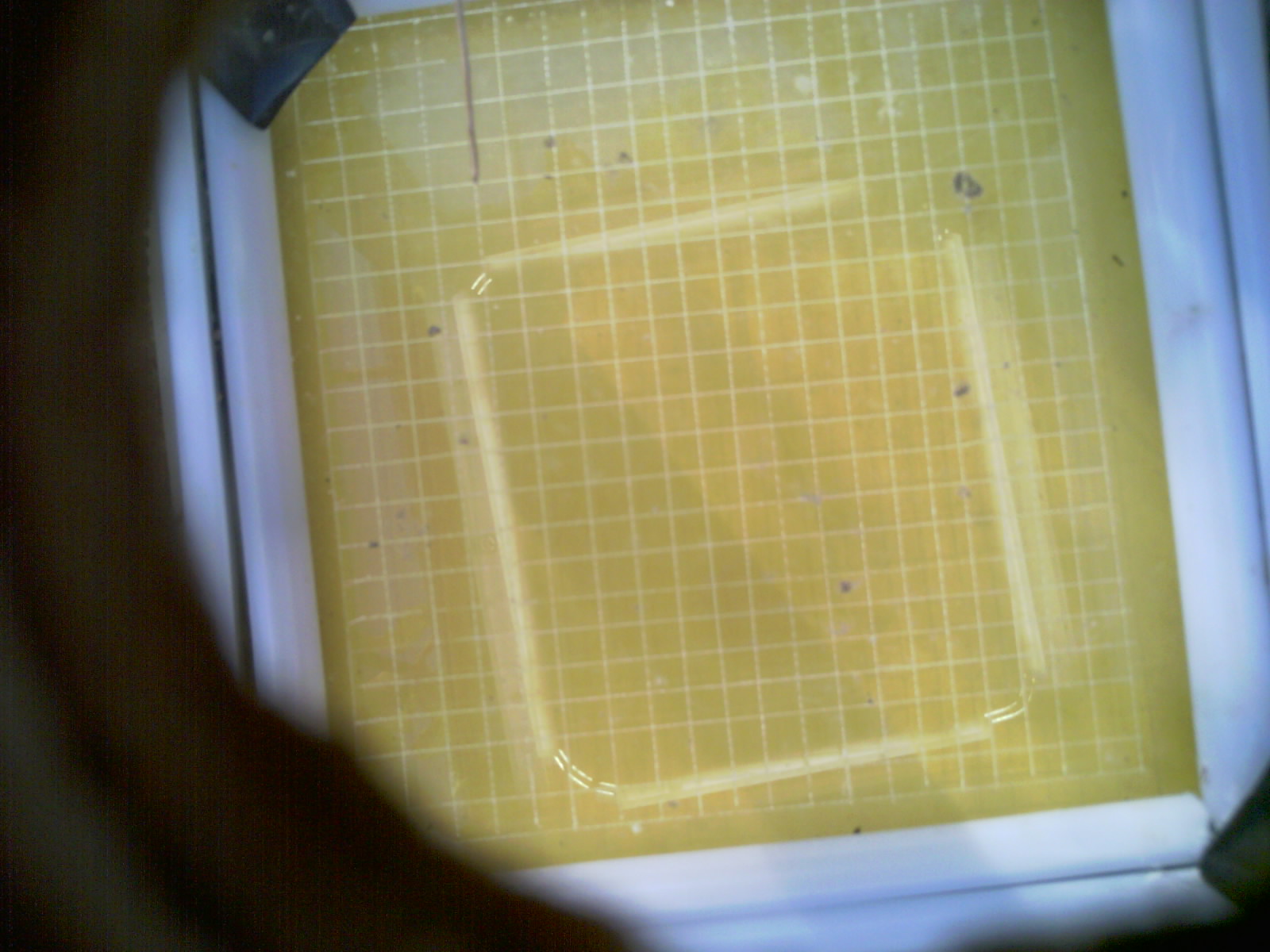20260711_081659_UXGA_Q3.jpg