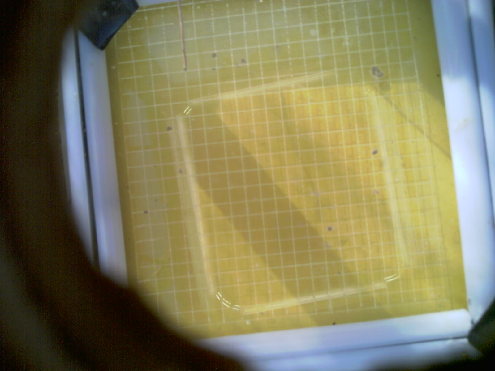 20260711_082546_UXGA_Q3.jpg