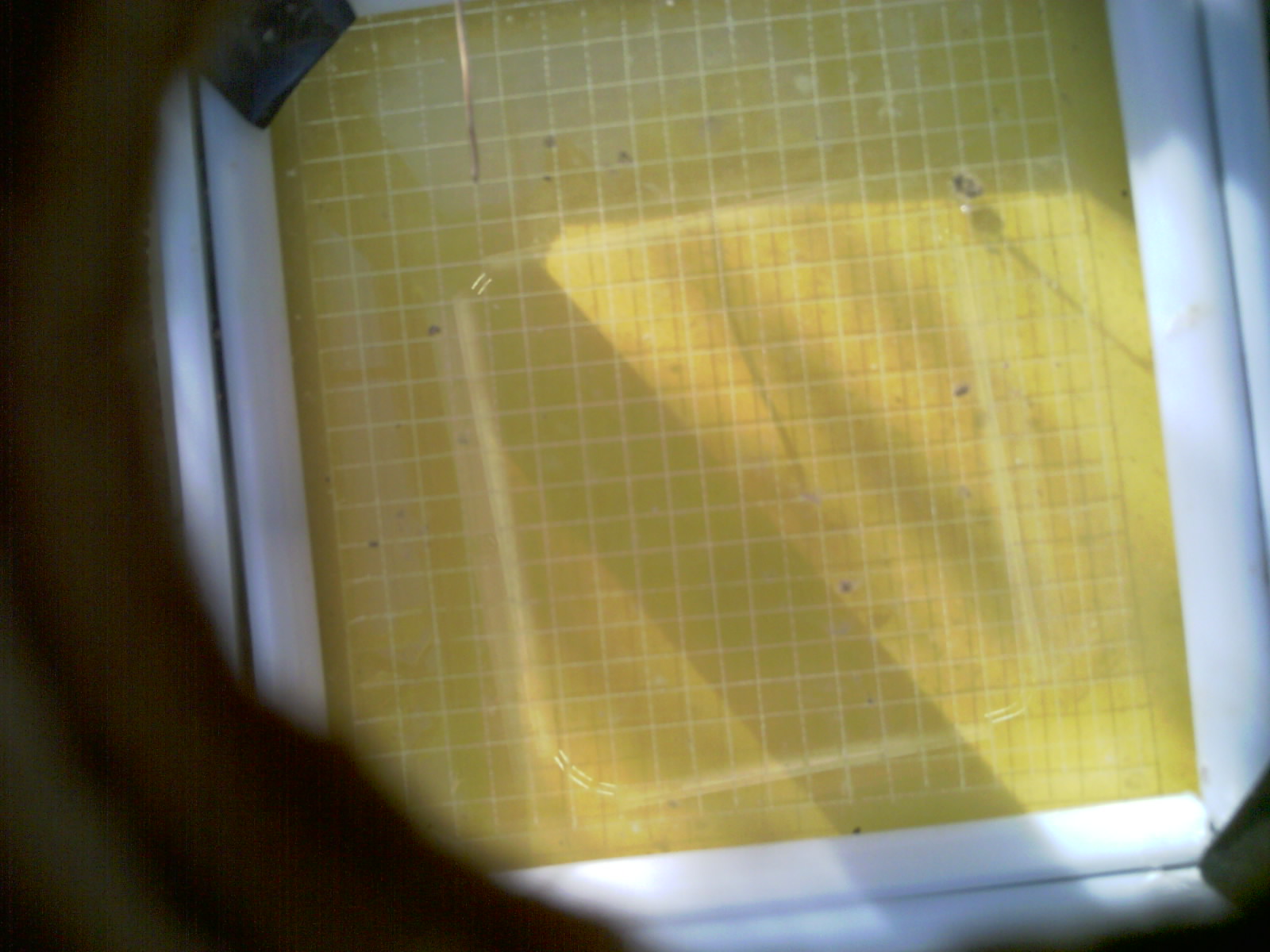 20260711_083248_UXGA_Q3.jpg