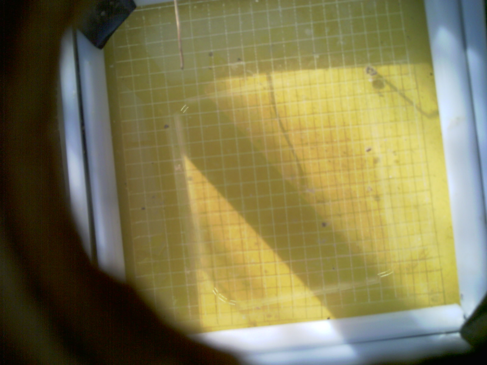 20260711_084008_UXGA_Q3.jpg