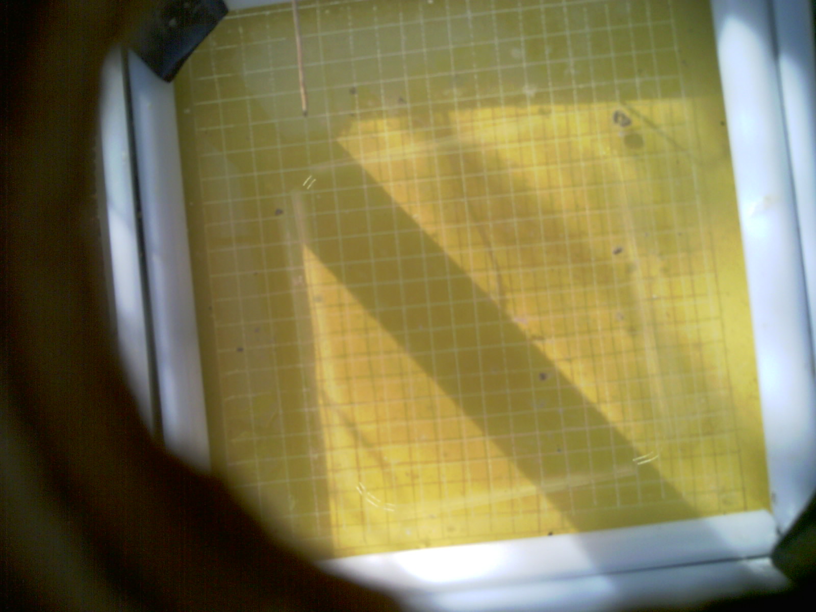 20260711_084653_UXGA_Q3.jpg