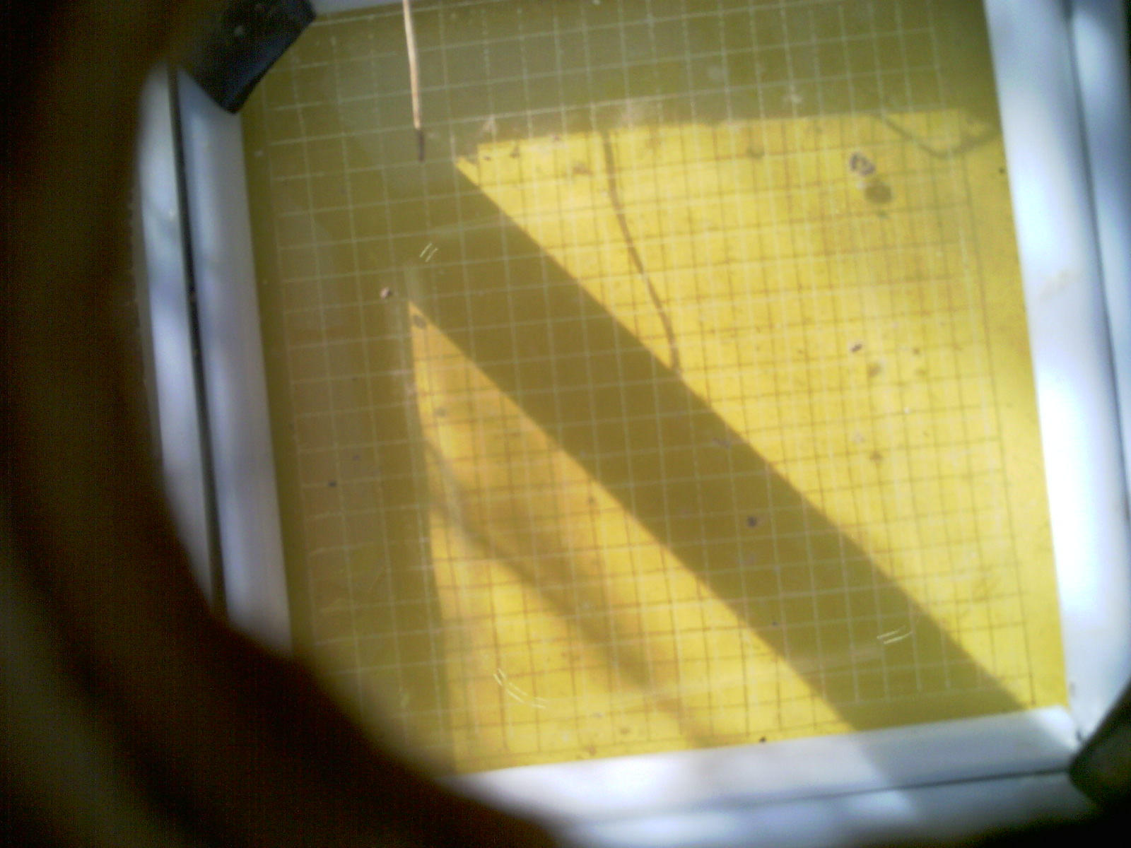20260711_085955_UXGA_Q3.jpg