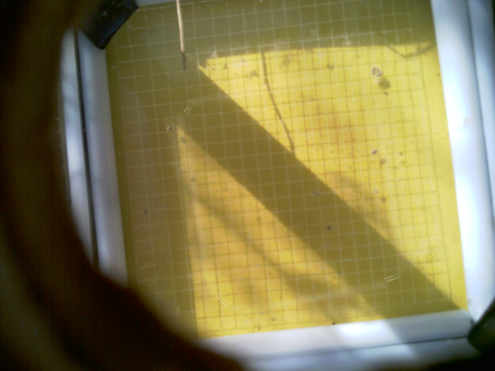 20260711_090619_UXGA_Q3.jpg