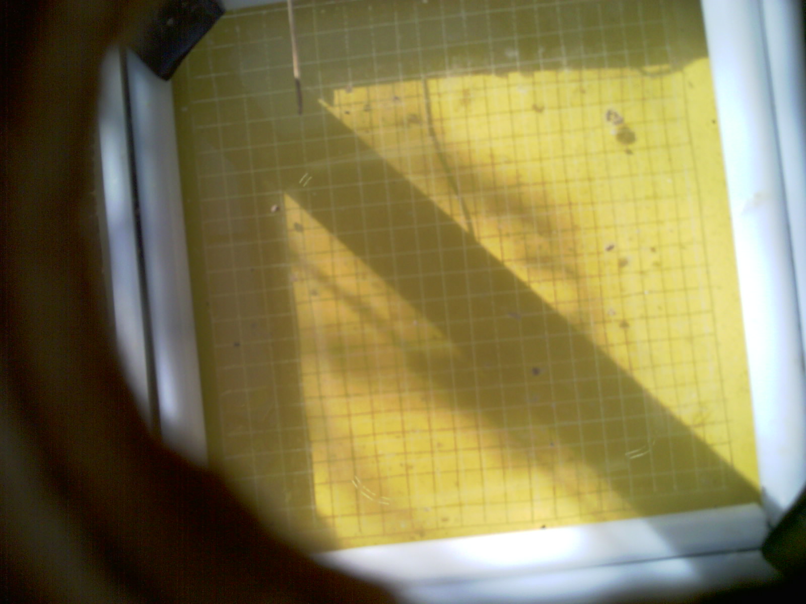 20260711_091242_UXGA_Q3.jpg