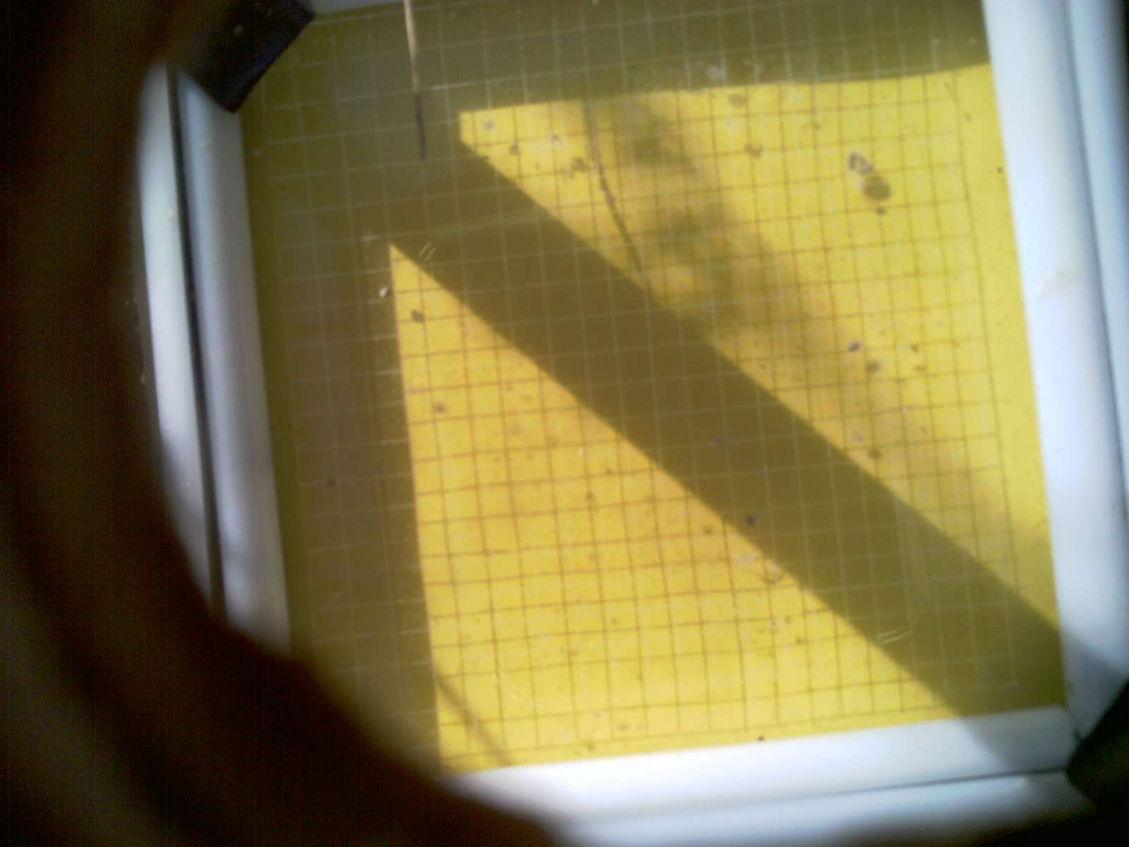 20260711_092615_UXGA_Q3.jpg