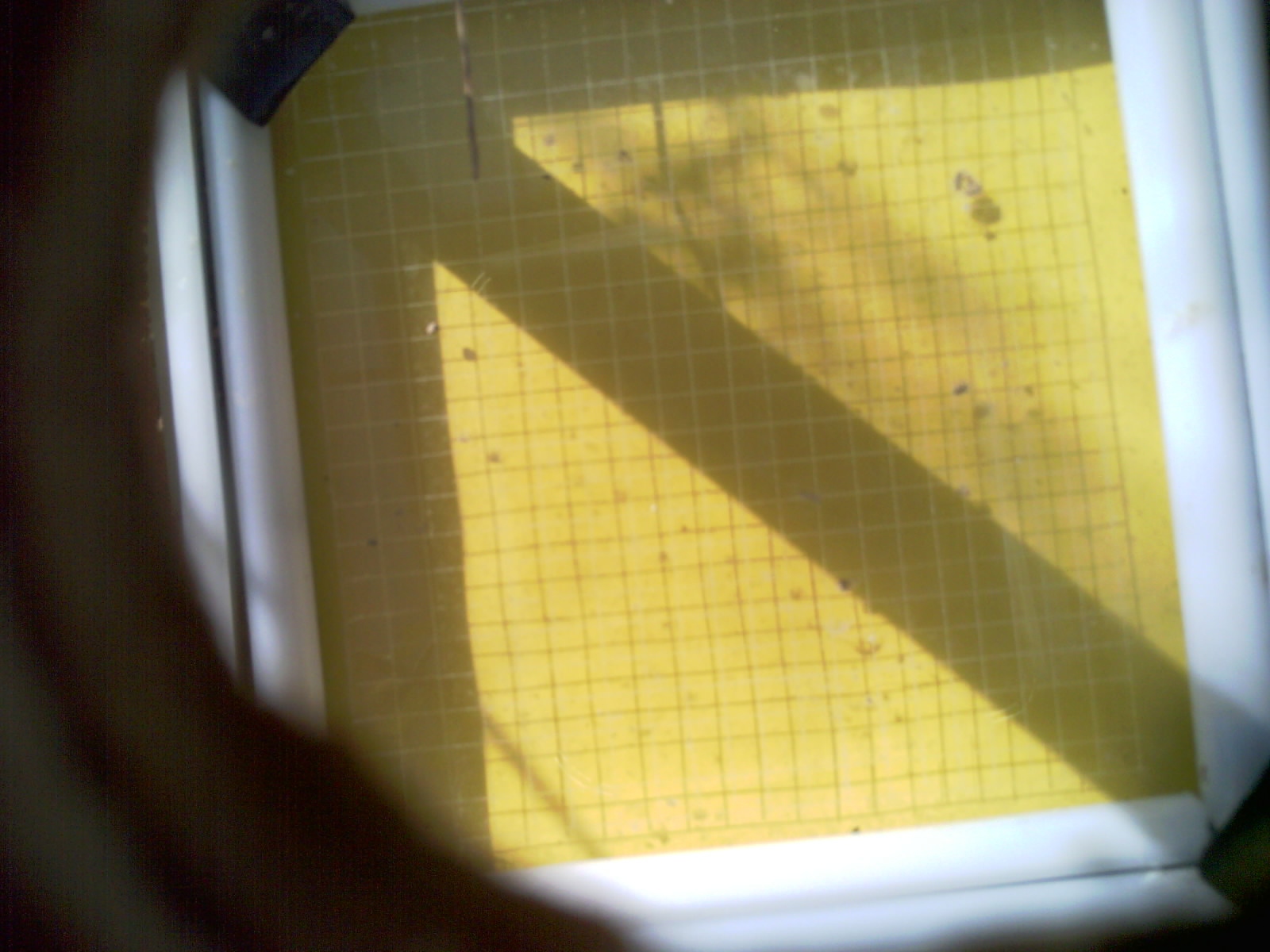 20260711_093313_UXGA_Q3.jpg