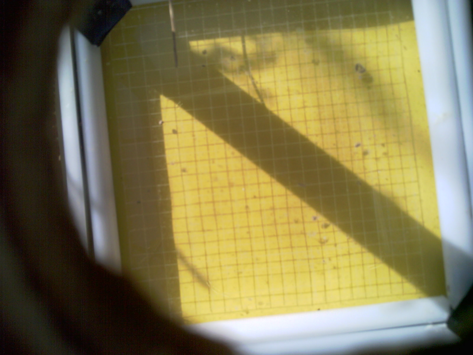 20260711_093947_UXGA_Q3.jpg