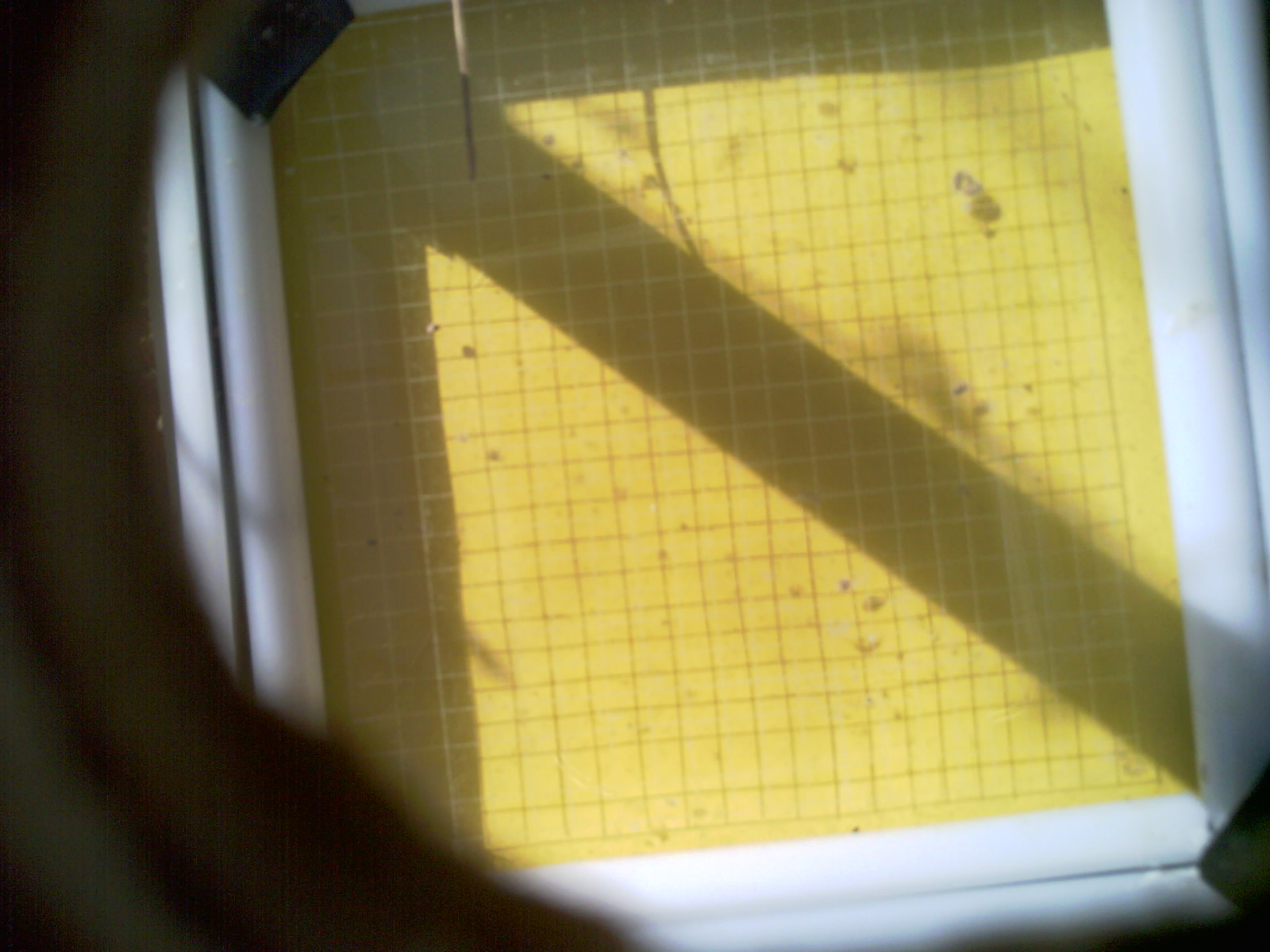 20260711_094610_UXGA_Q3.jpg