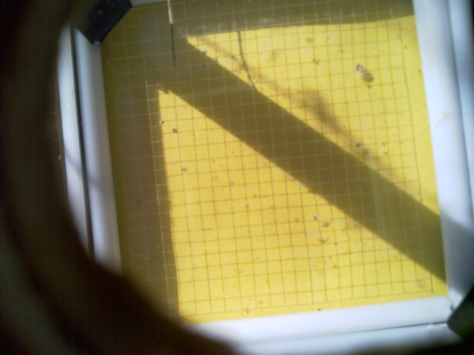 20260711_095233_UXGA_Q3.jpg