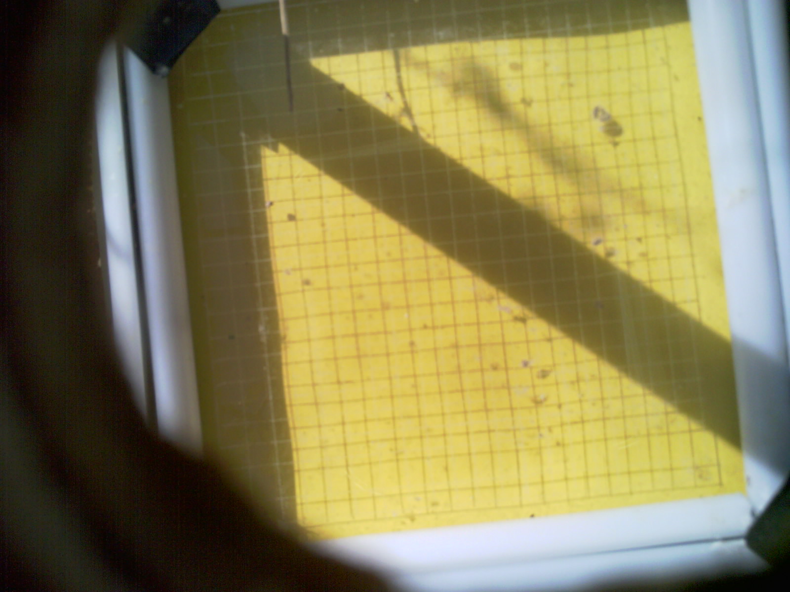 20260711_095931_UXGA_Q3.jpg