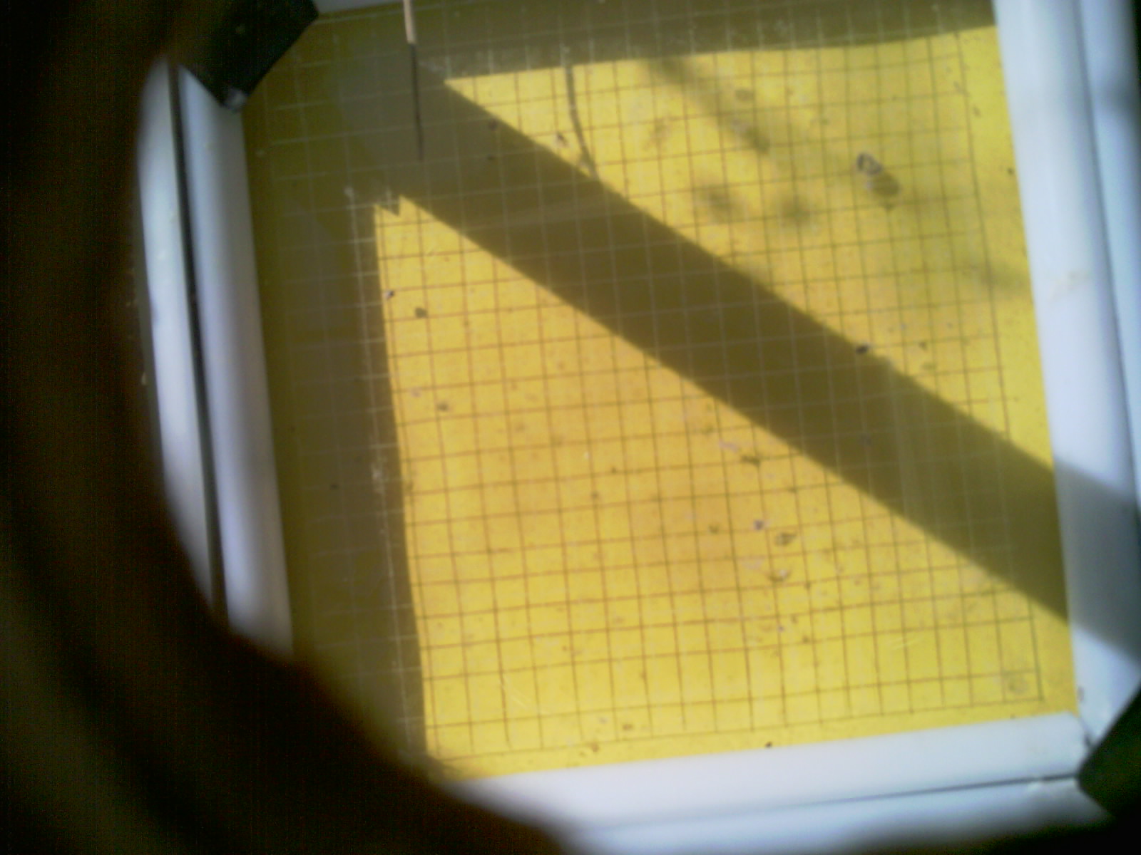 20260711_100556_UXGA_Q3.jpg