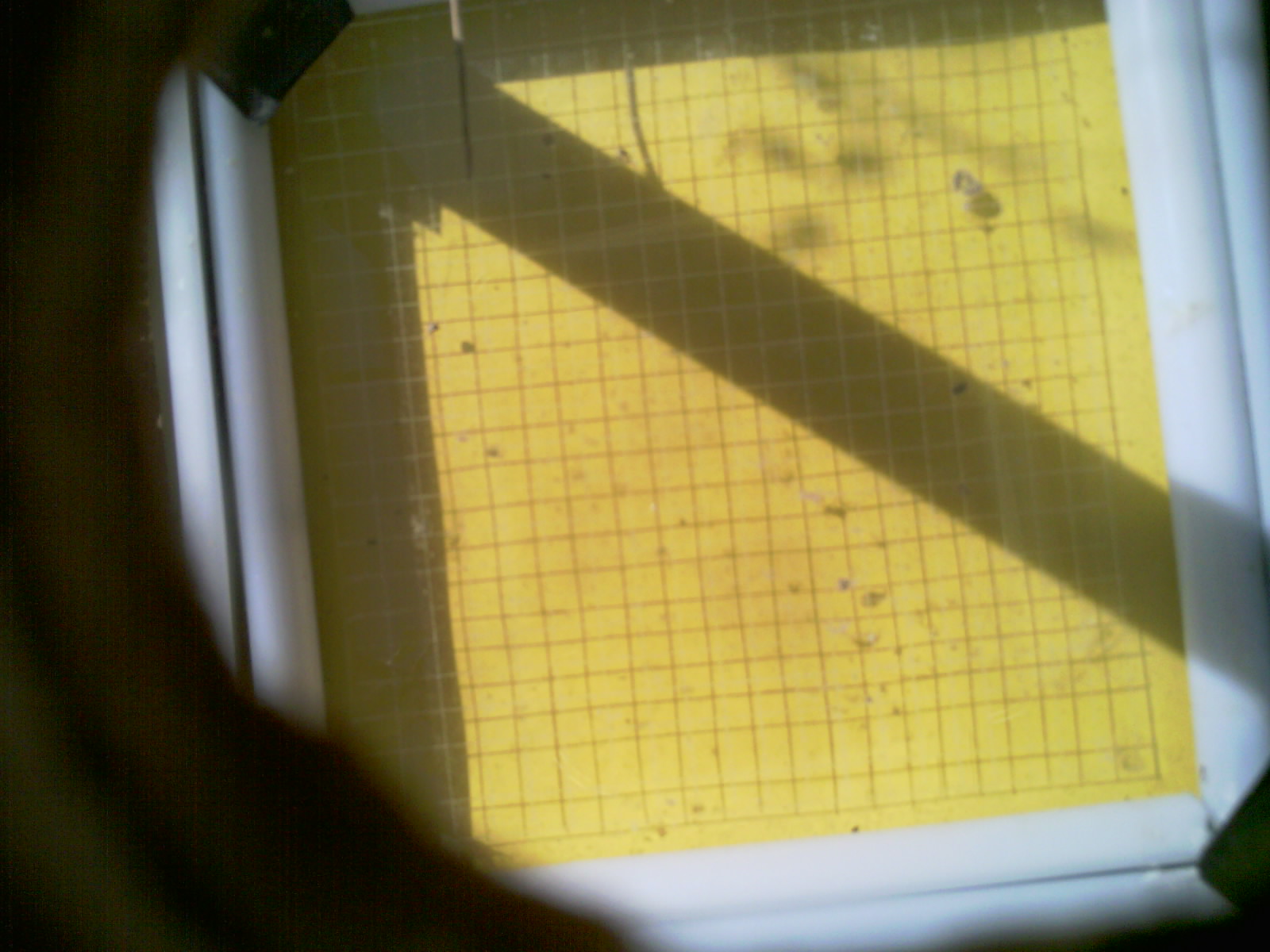 20260711_101223_UXGA_Q3.jpg