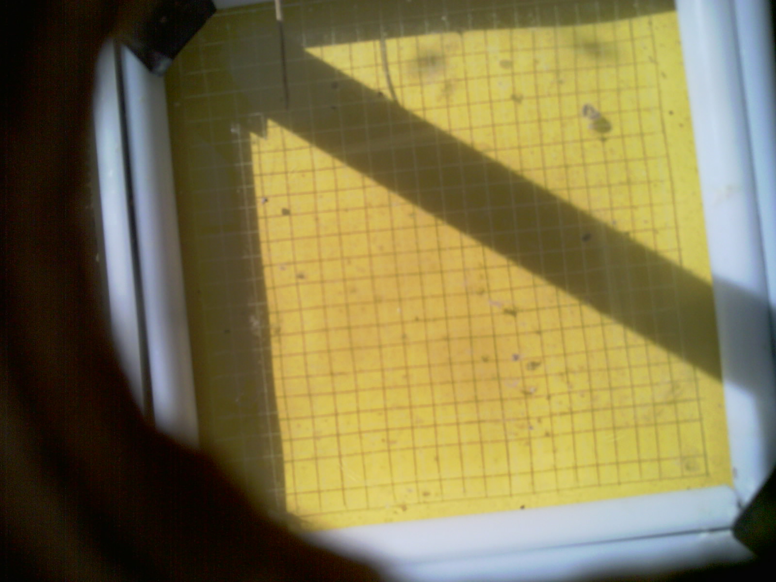 20260711_101855_UXGA_Q3.jpg