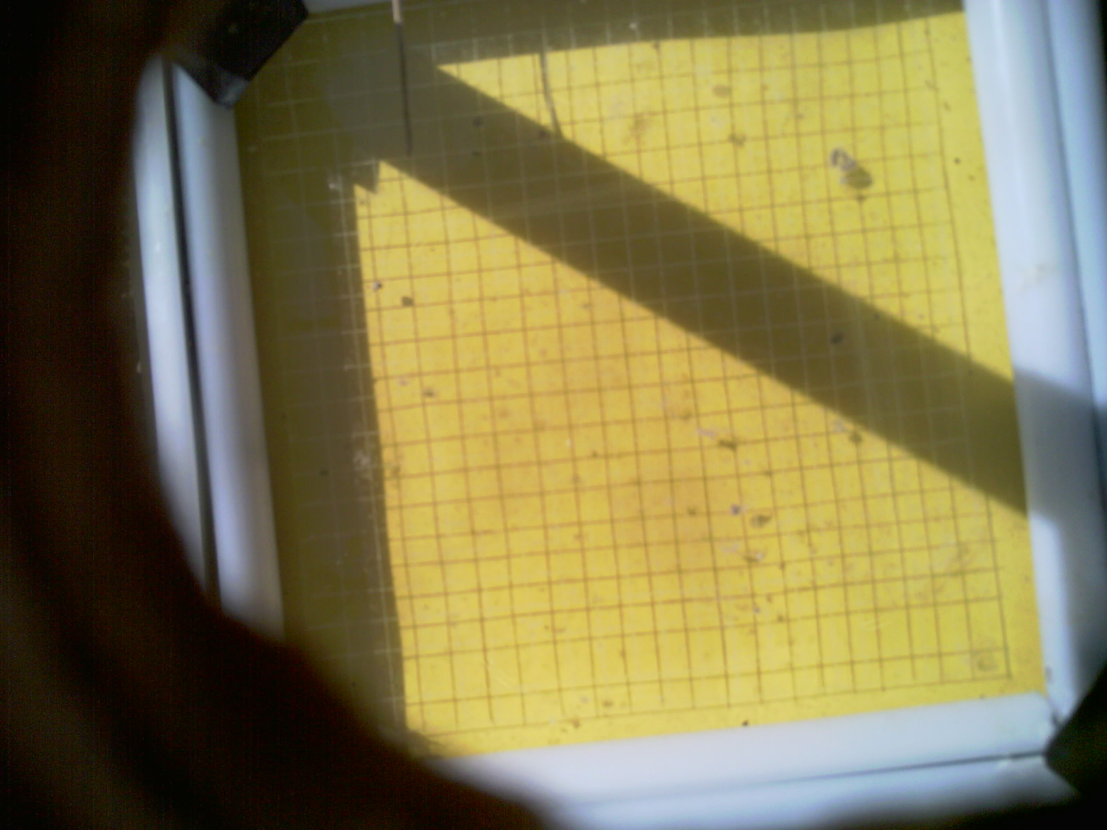 20260711_102535_UXGA_Q3.jpg