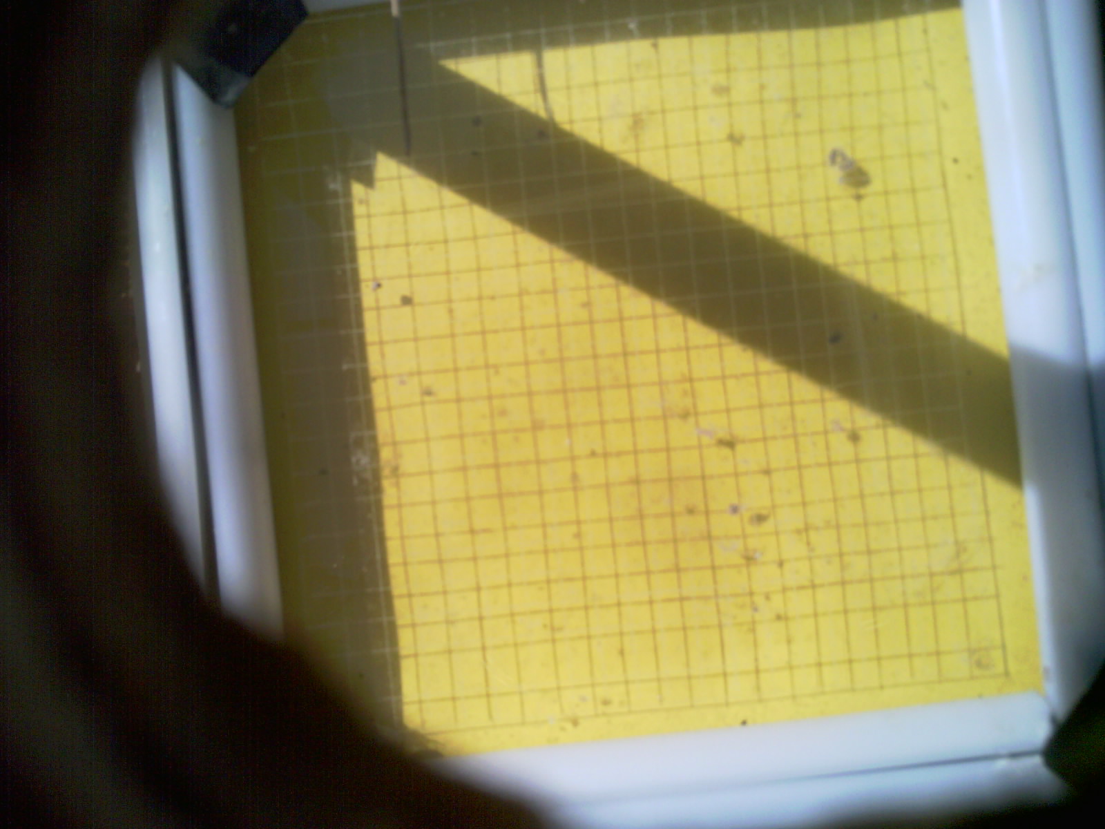 20260711_103214_UXGA_Q3.jpg