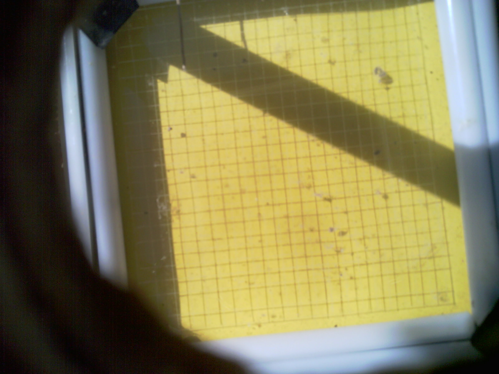 20260711_103852_UXGA_Q3.jpg
