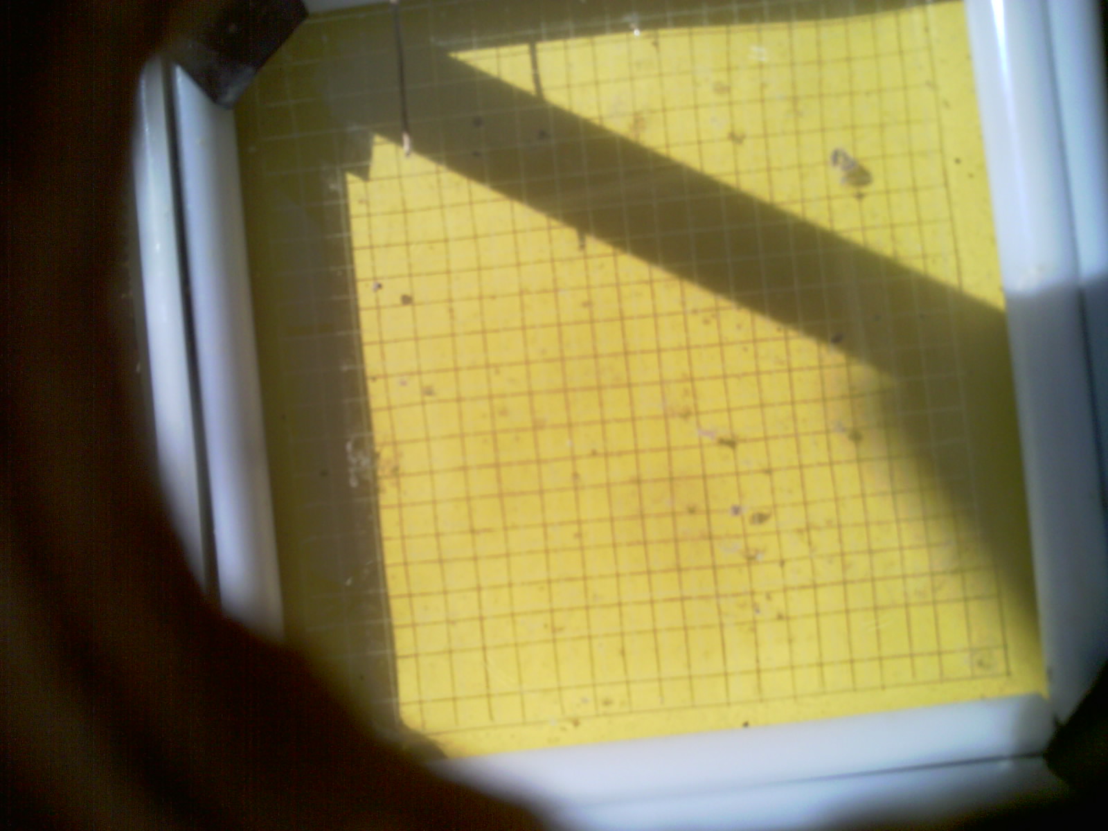 20260711_104506_UXGA_Q3.jpg