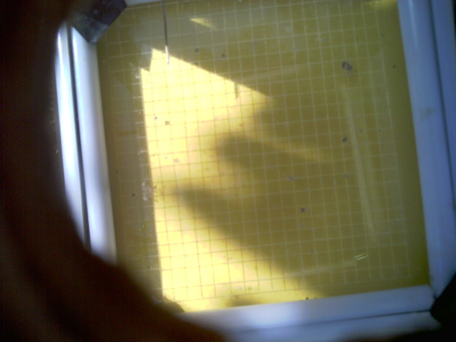 20260711_105858_UXGA_Q3.jpg