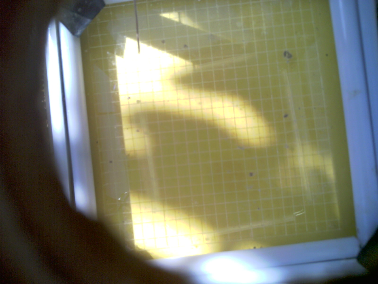 20260711_110528_UXGA_Q3.jpg