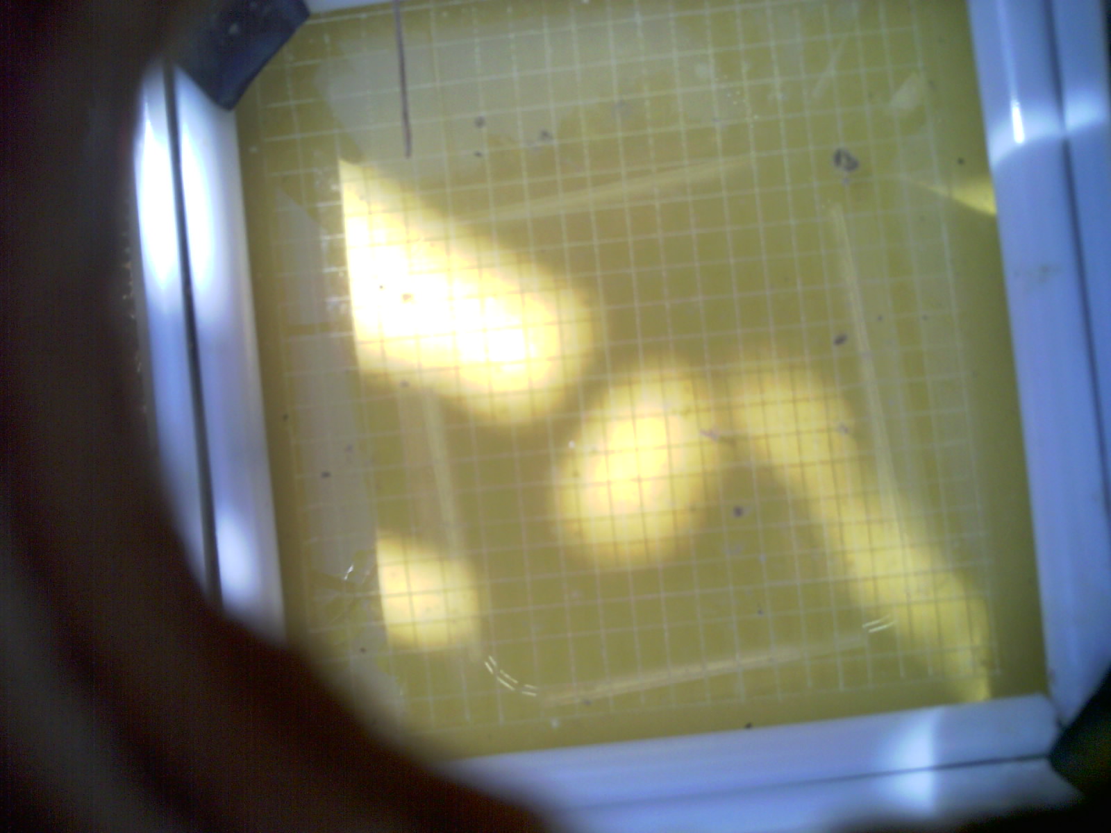 20260711_111212_UXGA_Q3.jpg