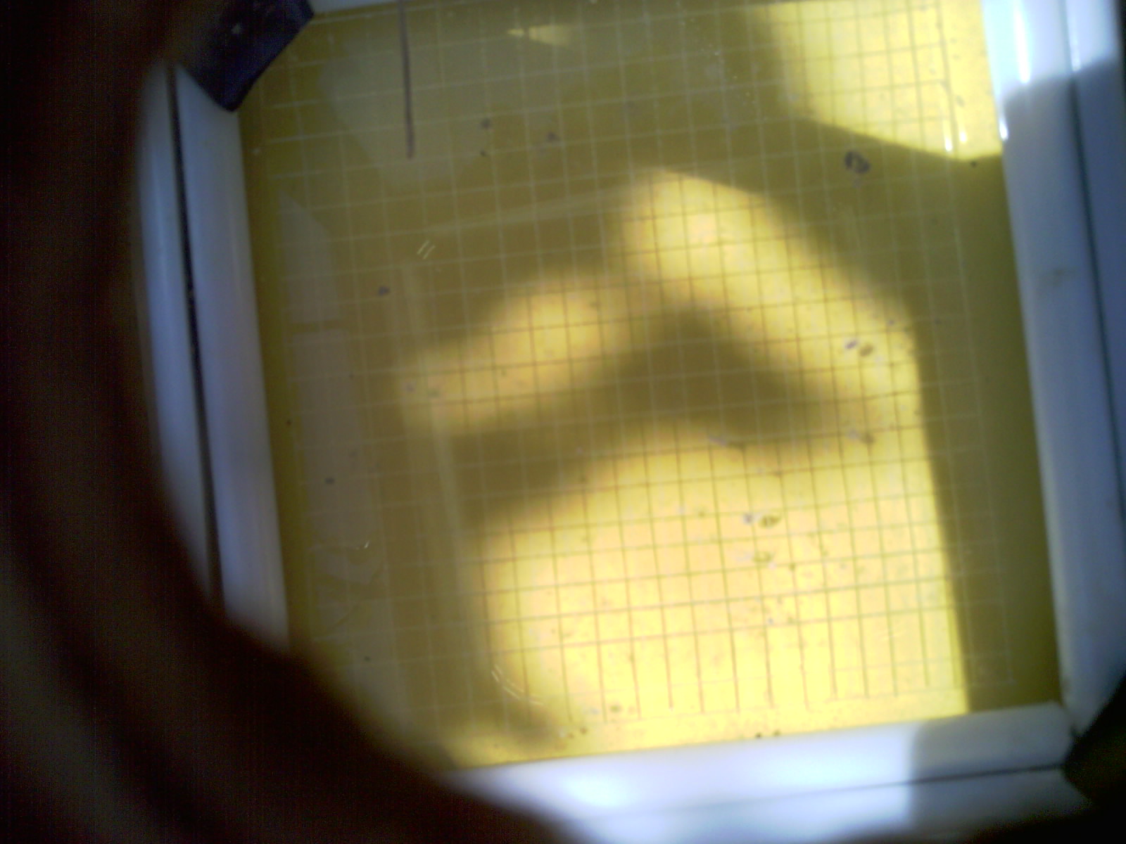 20260711_112544_UXGA_Q3.jpg