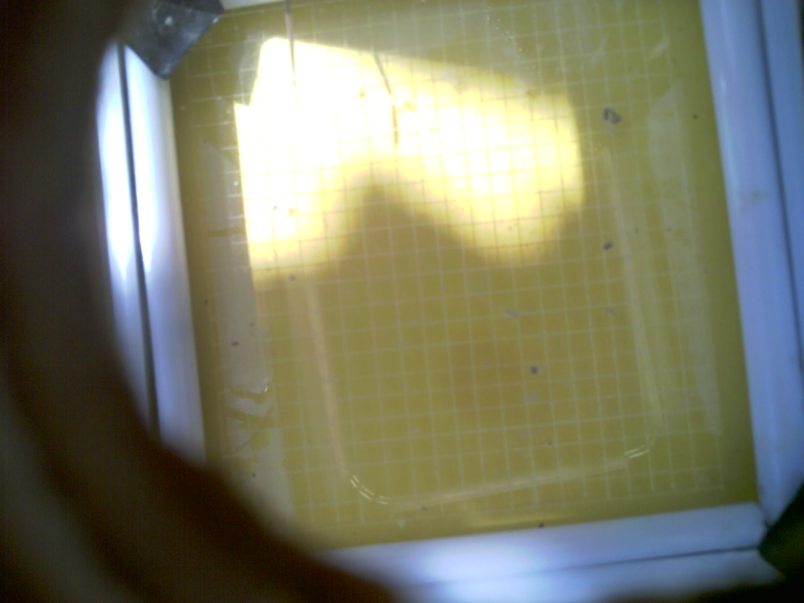 20260711_115218_UXGA_Q3.jpg