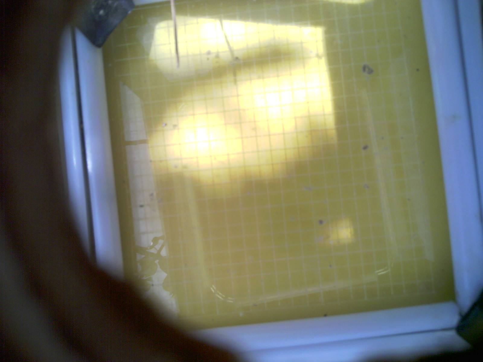 20260711_120558_UXGA_Q3.jpg