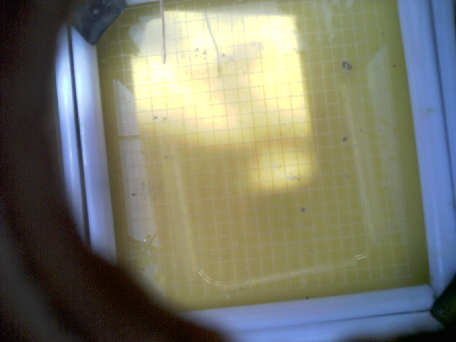 20260711_121241_UXGA_Q3.jpg