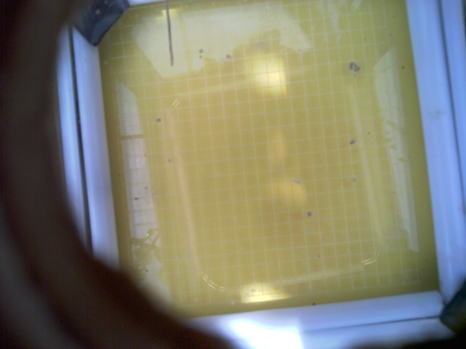 20260711_123229_UXGA_Q3.jpg