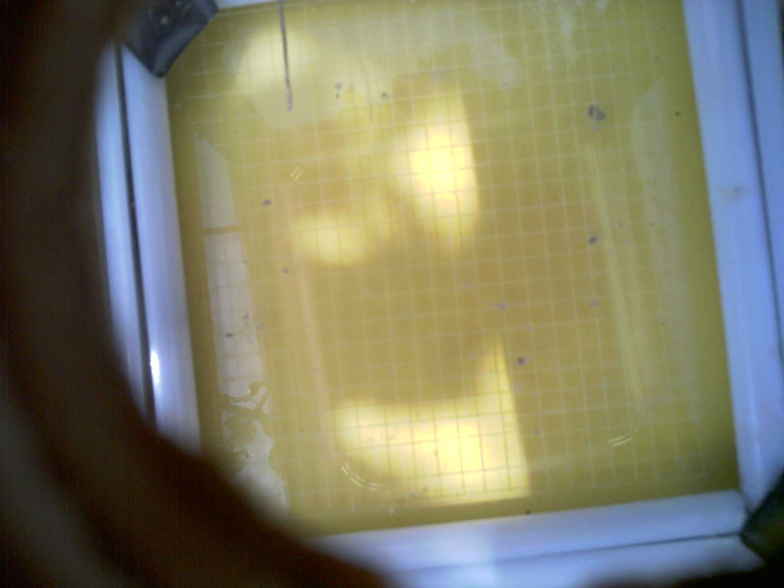 20260711_123928_UXGA_Q3.jpg