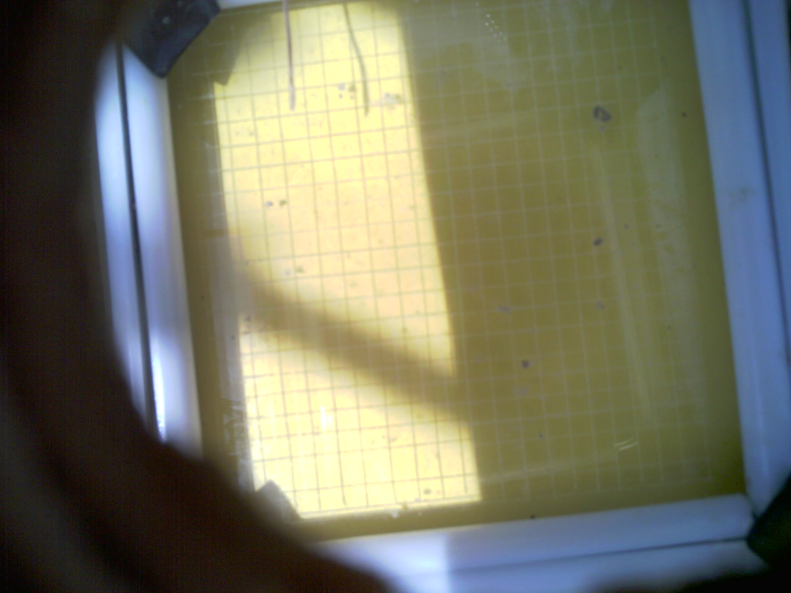 20260711_130528_UXGA_Q3.jpg