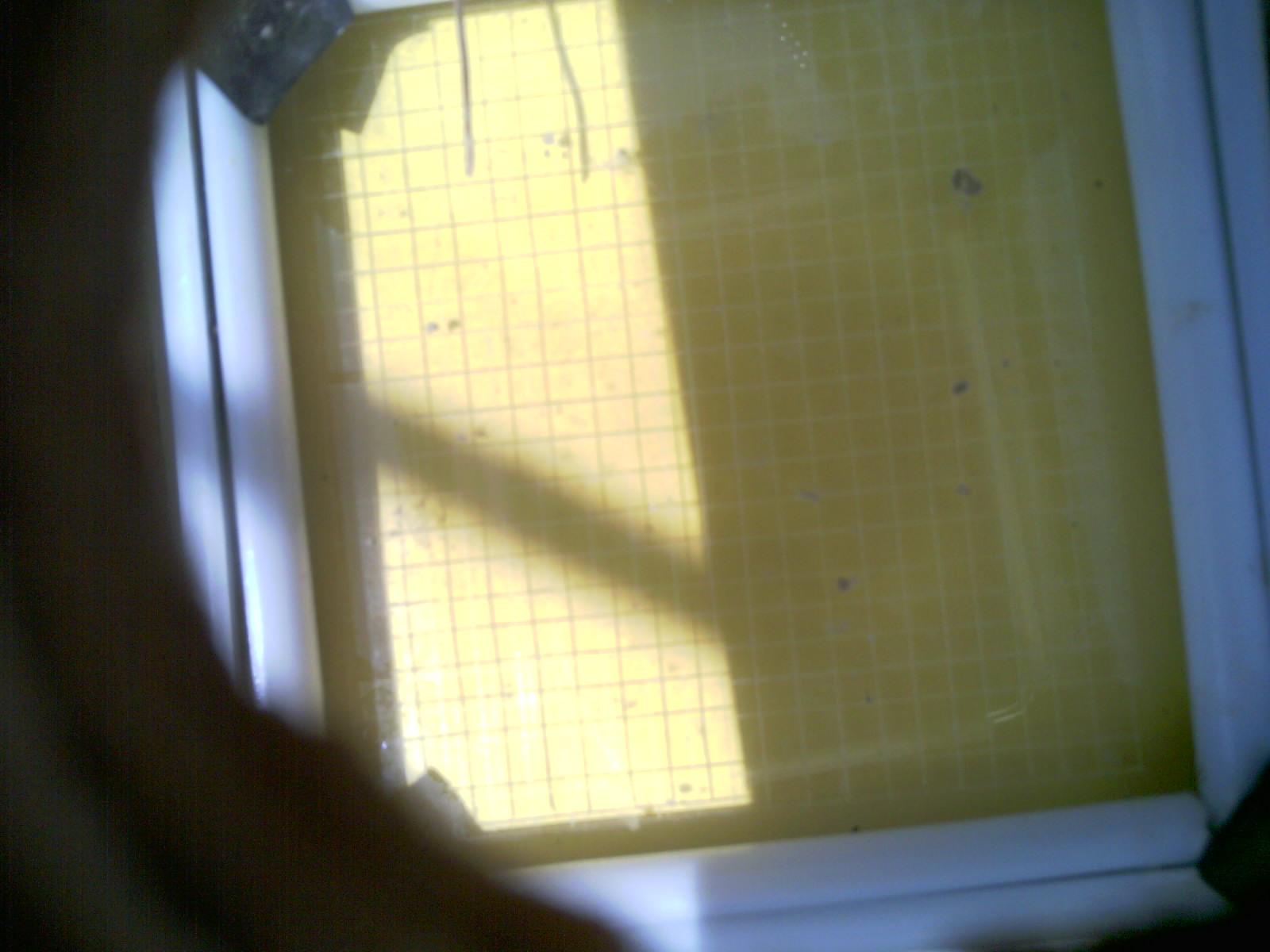 20260711_131153_UXGA_Q3.jpg