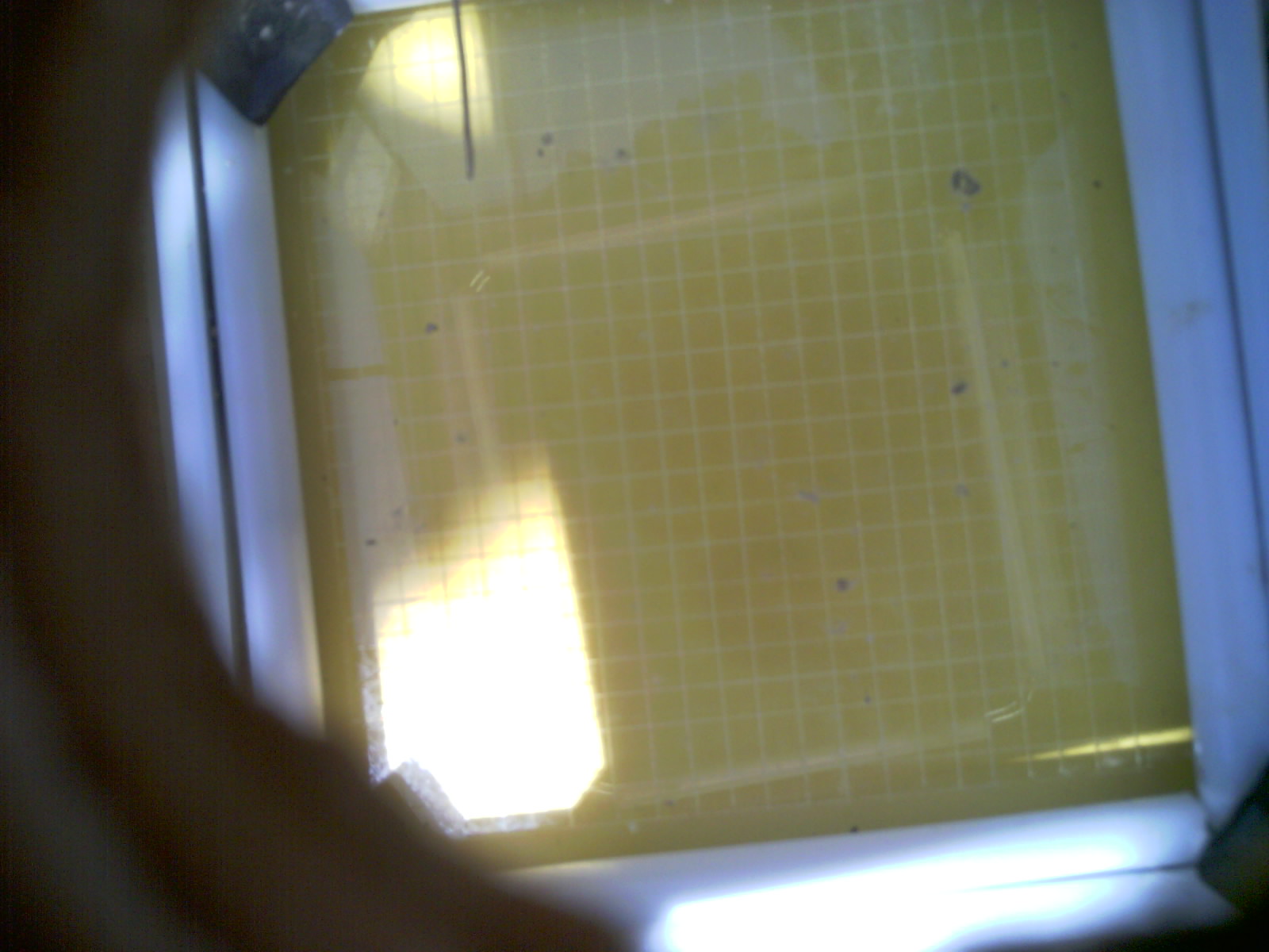 20260711_135448_UXGA_Q3.jpg