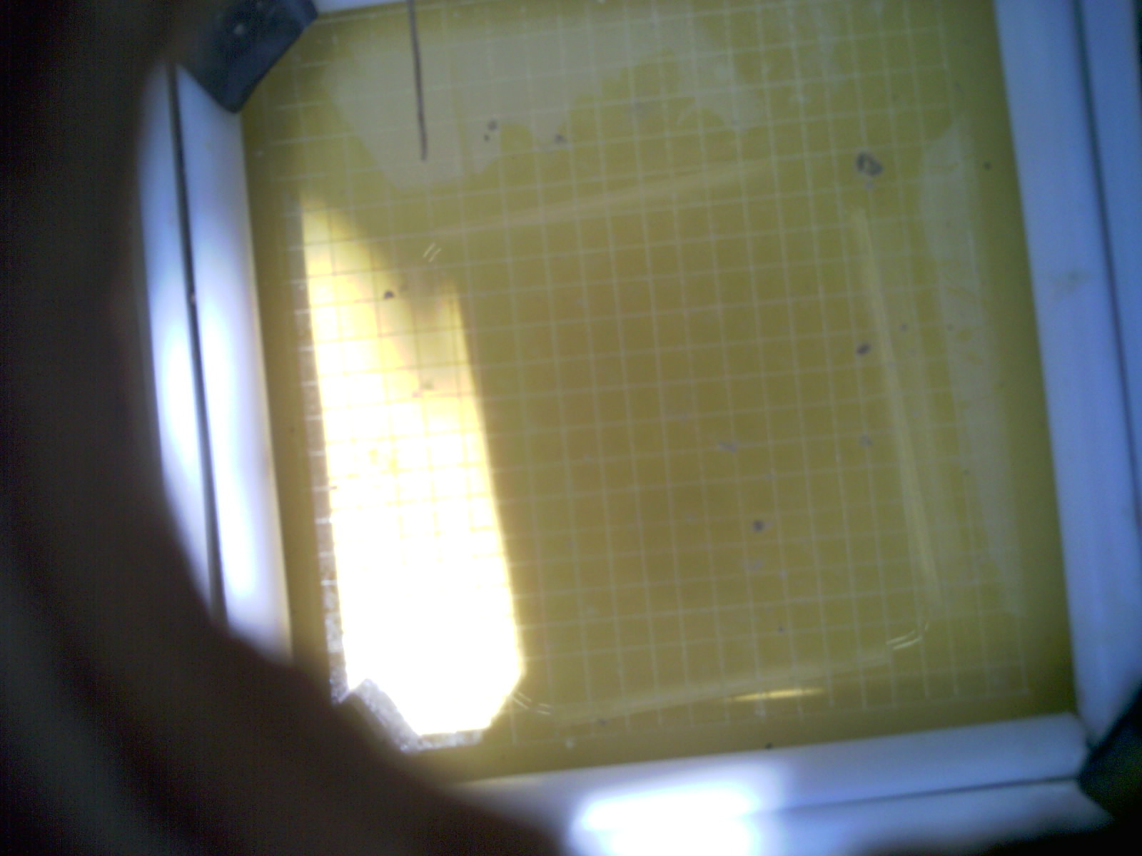 20260711_140121_UXGA_Q3.jpg