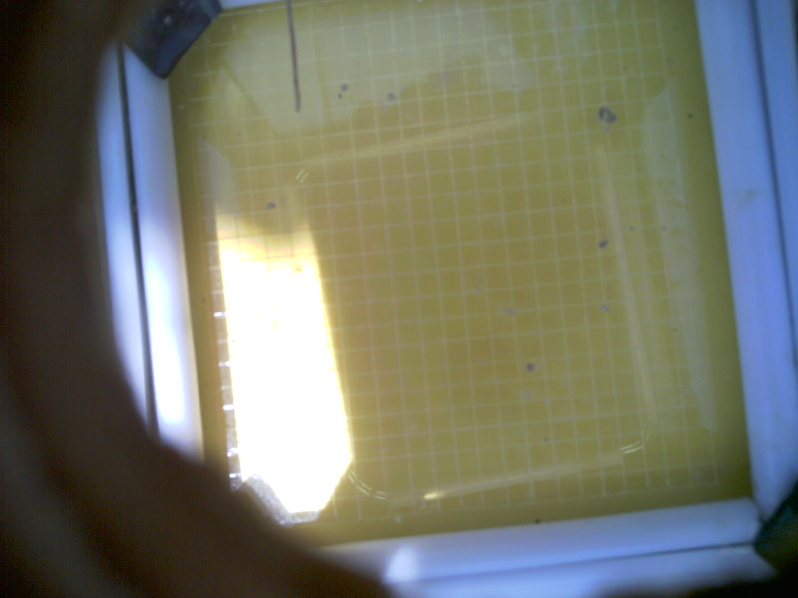 20260711_140744_UXGA_Q3.jpg