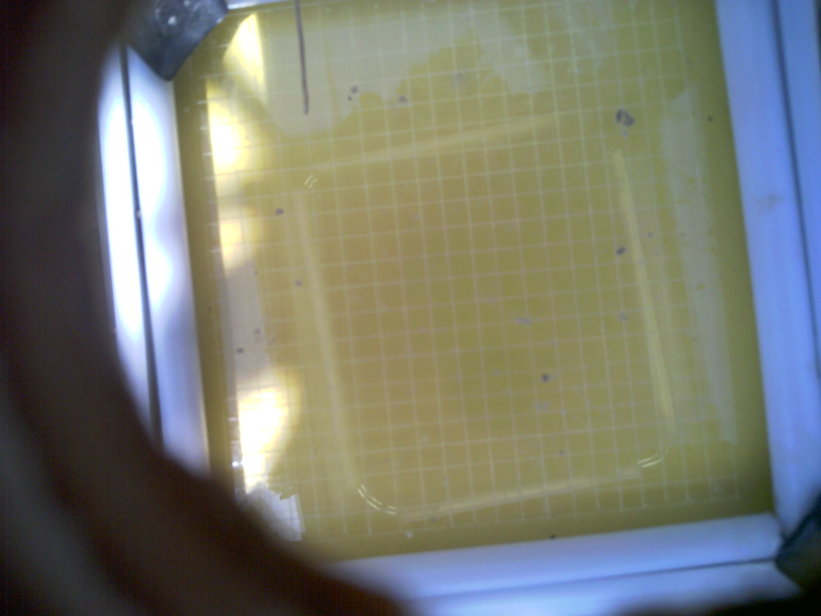 20260711_142115_UXGA_Q3.jpg