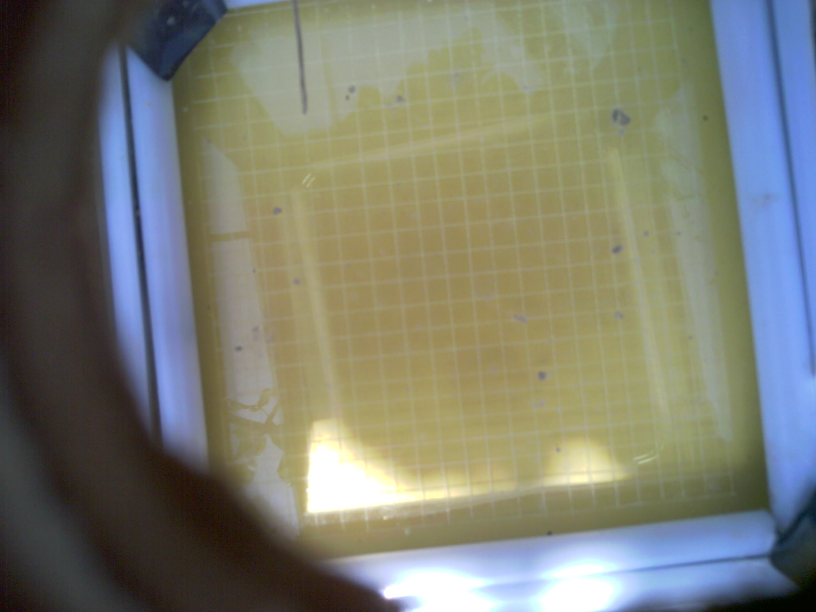 20260711_150200_UXGA_Q3.jpg