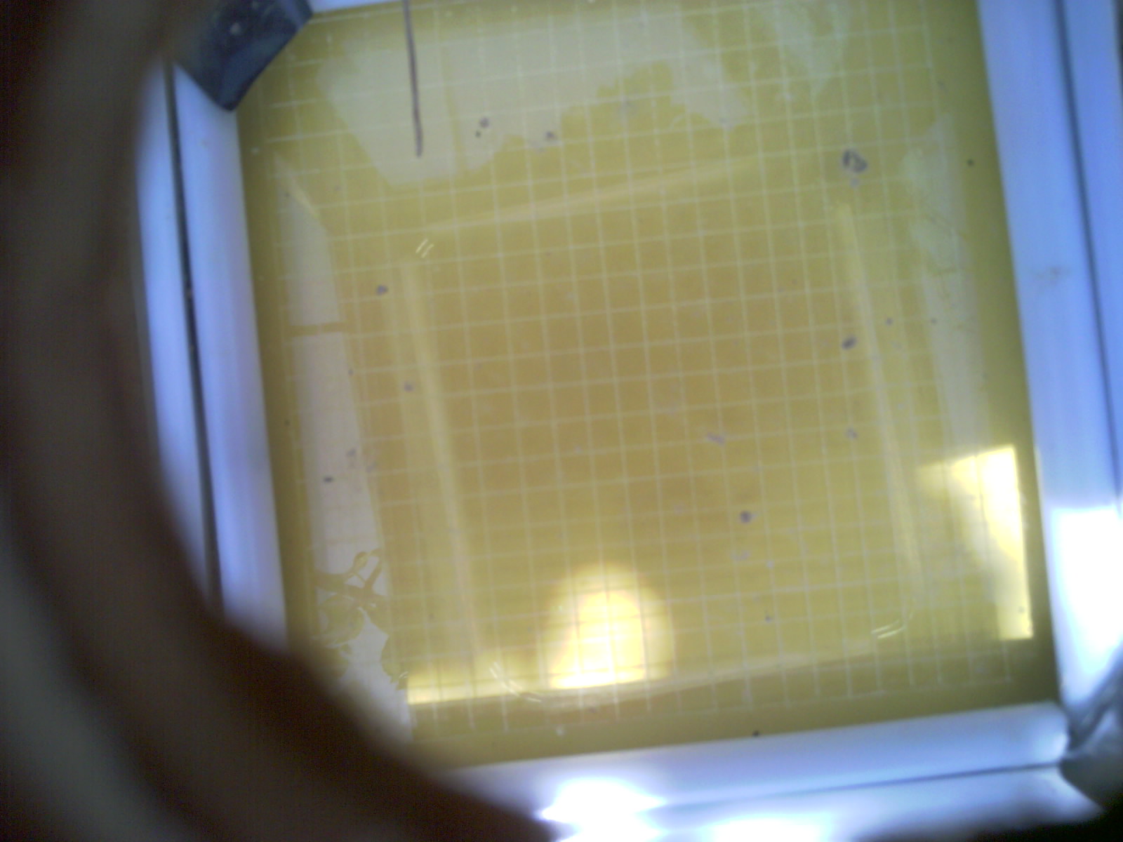 20260711_150831_UXGA_Q3.jpg