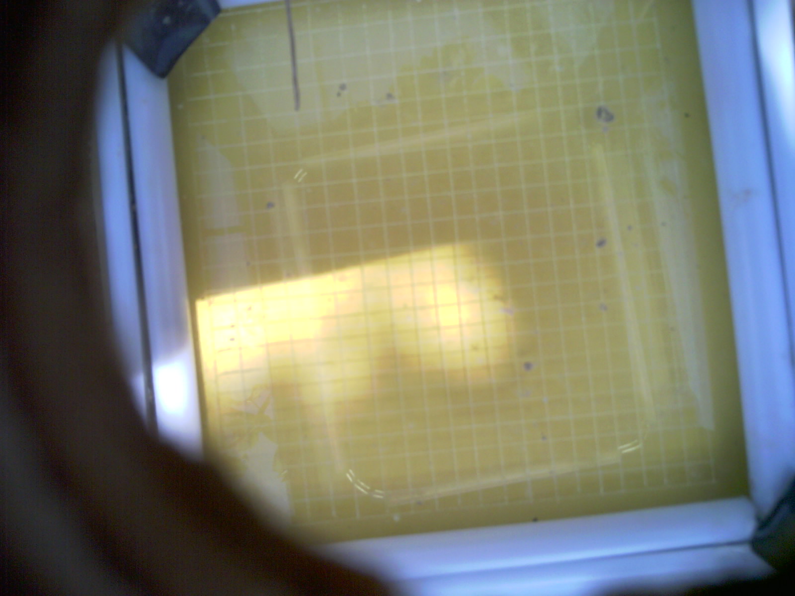 20260711_161602_UXGA_Q3.jpg