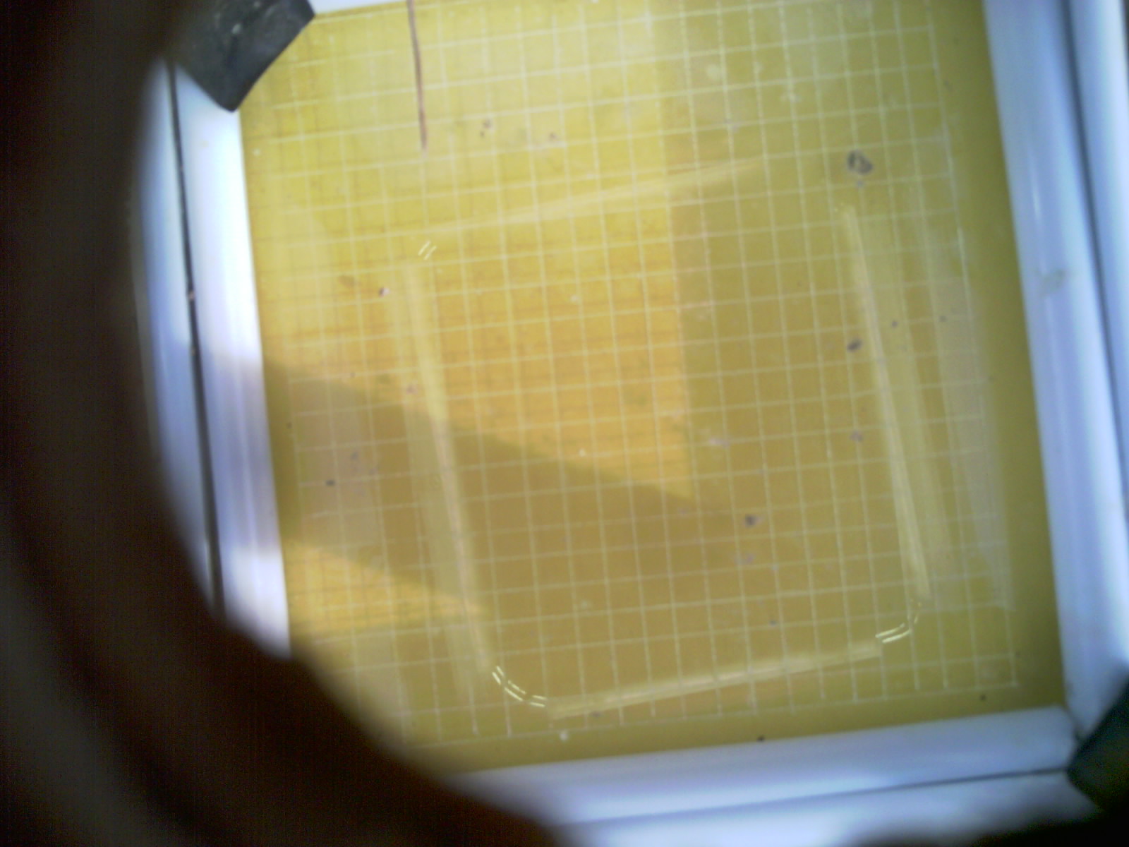 20260711_201120_UXGA_Q3.jpg