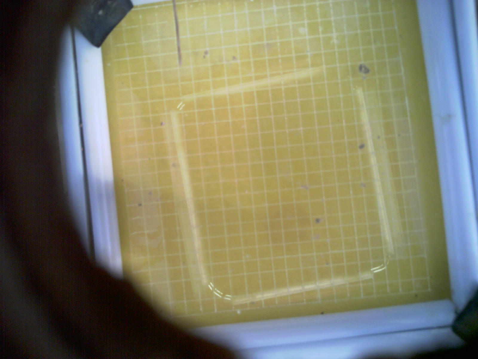 20260711_203023_UXGA_Q3.jpg