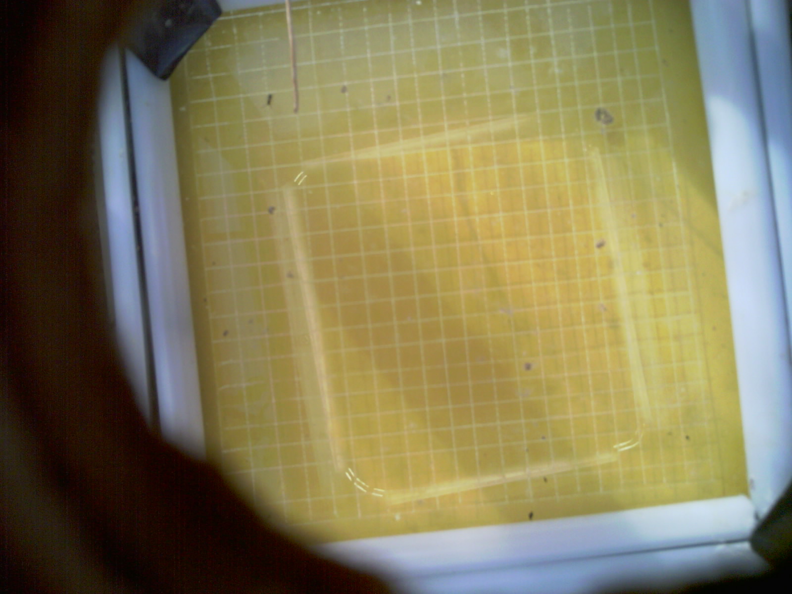 20260712_082202_UXGA_Q3.jpg